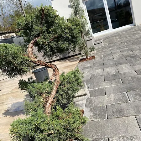 Maison Neuve Cocooning 6 Personnes Avec Et Piscine Chauffee * Moyenmoutier