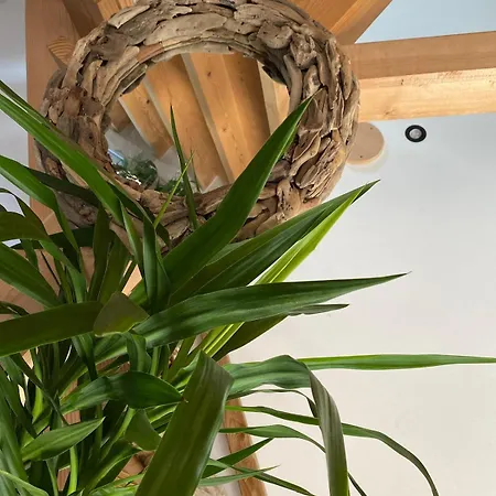 Maison Neuve Cocooning 6 Personnes Avec Et Piscine Chauffee *