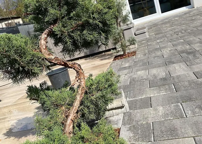 Maison Neuve Cocooning 6 Personnes Avec Et Piscine Chauffee * Moyenmoutier