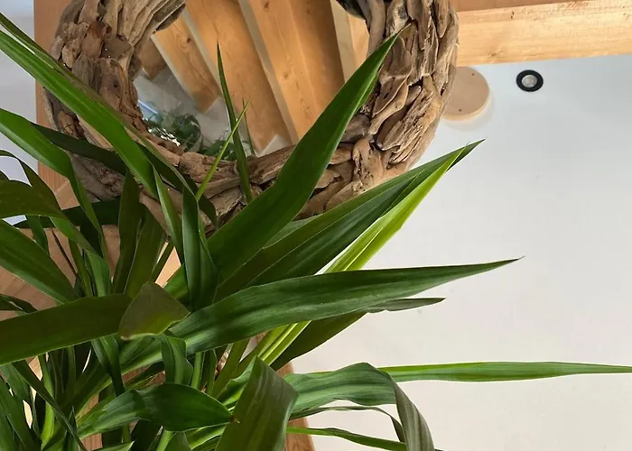 Maison Neuve Cocooning 6 Personnes Avec Et Piscine Chauffee *