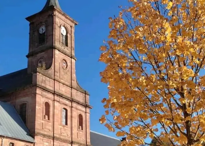 Maison Neuve Cocooning 6 Personnes Avec Et Piscine Chauffee 度假居 Moyenmoutier